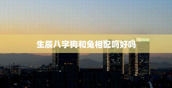 生辰八字狗和兔相配吗好吗