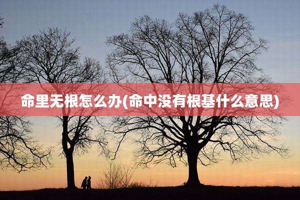 命里无根怎么办(命中没有根基什么意思)