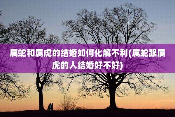 属蛇和属虎的结婚如何化解不利(属蛇跟属虎的人结婚好不好)