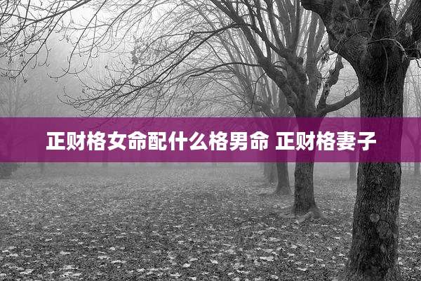 正财格女命配什么格男命 正财格妻子