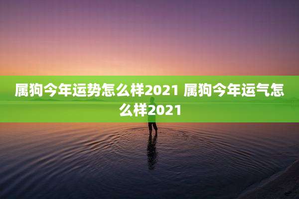 属狗今年运势怎么样2021 属狗今年运气怎么样2021