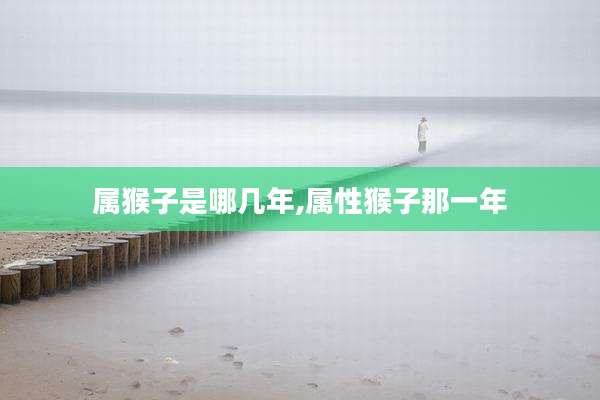 属猴子是哪几年,属性猴子那一年
