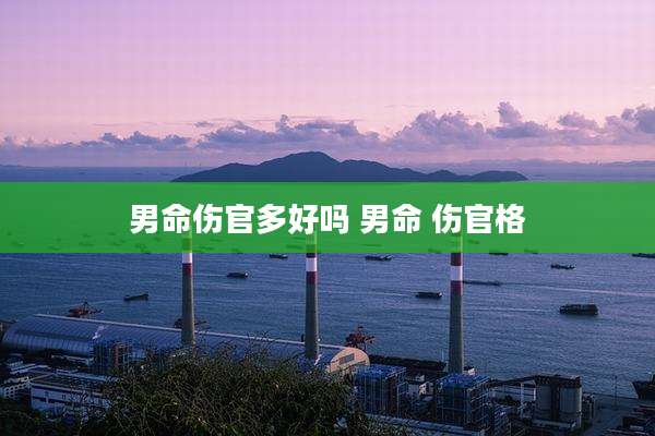 男命伤官多好吗 男命 伤官格