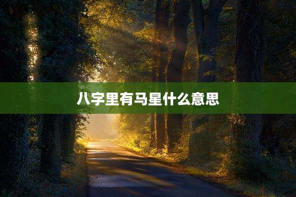 八字里有马星什么意思