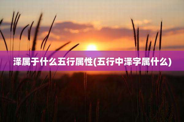 泽属于什么五行属性(五行中泽字属什么)