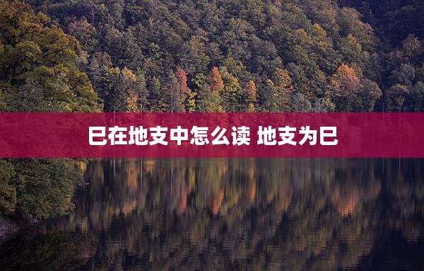 巳在地支中怎么读 地支为巳