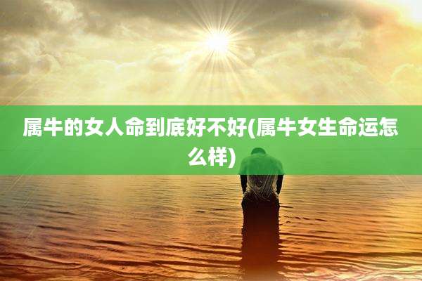 属牛的女人命到底好不好(属牛女生命运怎么样)