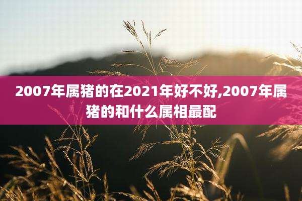 2007年属猪的在2021年好不好,2007年属猪的和什么属相最配