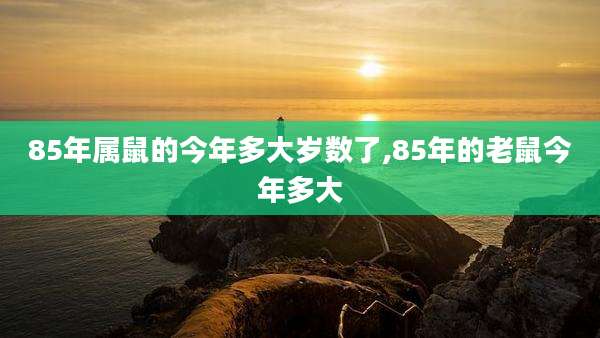 85年属鼠的今年多大岁数了,85年的老鼠今年多大