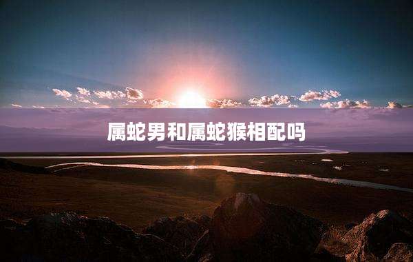 属蛇男和属蛇猴相配吗