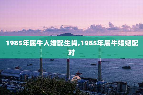 1985年属牛人婚配生肖,1985年属牛婚姻配对