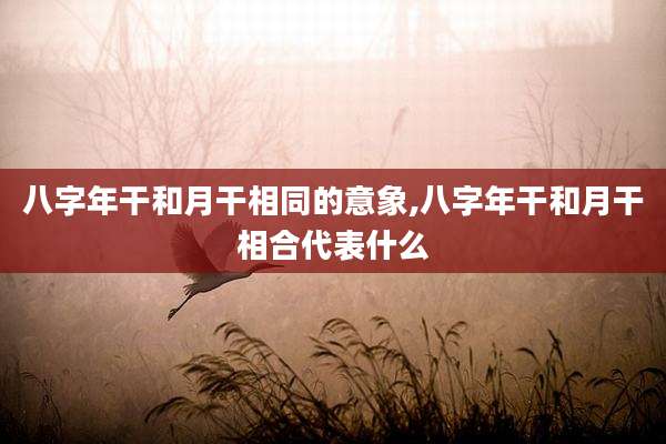 八字年干和月干相同的意象,八字年干和月干相合代表什么