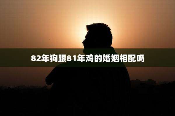 82年狗跟81年鸡的婚姻相配吗