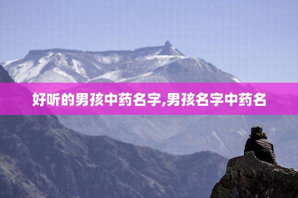 好听的男孩中药名字,男孩名字中药名