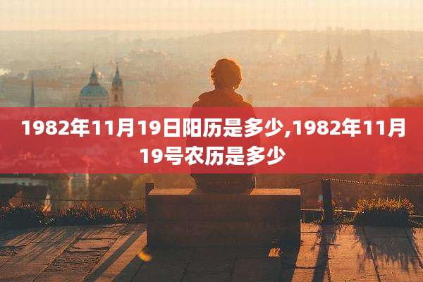 1982年11月19日阳历是多少,1982年11月19号农历是多少