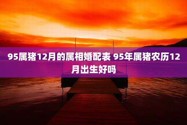 95属猪12月的属相婚配表 95年属猪农历12月出生好吗