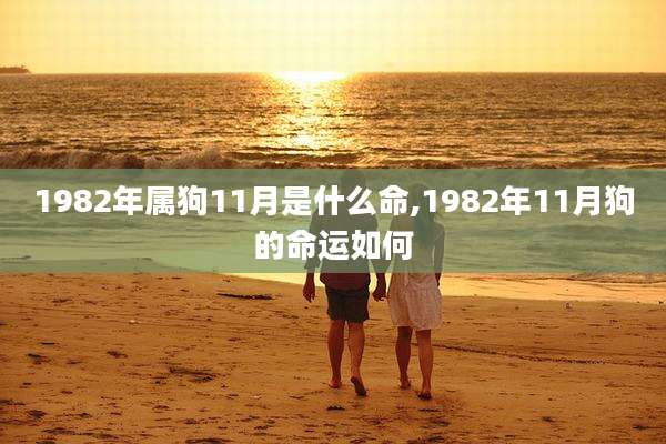 1982年属狗11月是什么命,1982年11月狗的命运如何