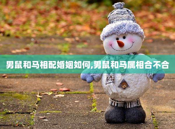 男鼠和马相配婚姻如何,男鼠和马属相合不合
