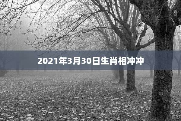 2021年3月30日生肖相冲冲