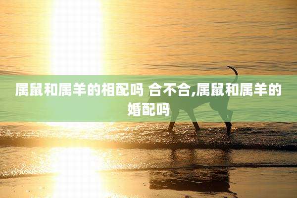 属鼠和属羊的相配吗 合不合,属鼠和属羊的婚配吗