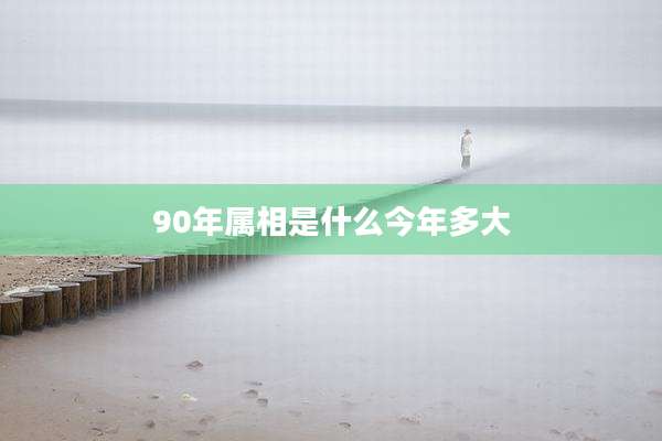 90年属相是什么今年多大