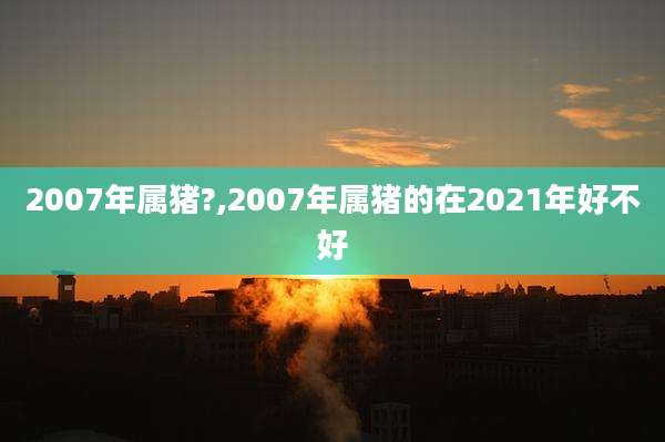 2007年属猪?,2007年属猪的在2021年好不好
