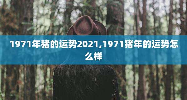 1971年猪的运势2021,1971猪年的运势怎么样