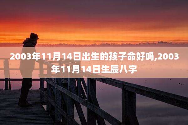 2003年11月14日出生的孩子命好吗,2003年11月14日生辰八字