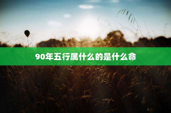 90年五行属什么的是什么命