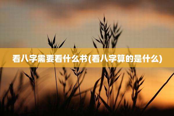 看八字需要看什么书(看八字算的是什么)
