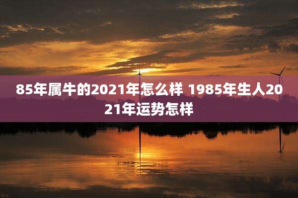 85年属牛的2021年怎么样 1985年生人2021年运势怎样