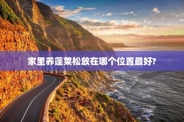 家里养蓬莱松放在哪个位置最好?