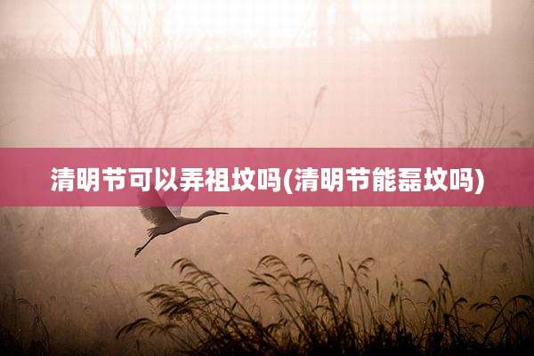 清明节可以弄祖坟吗(清明节能磊坟吗)