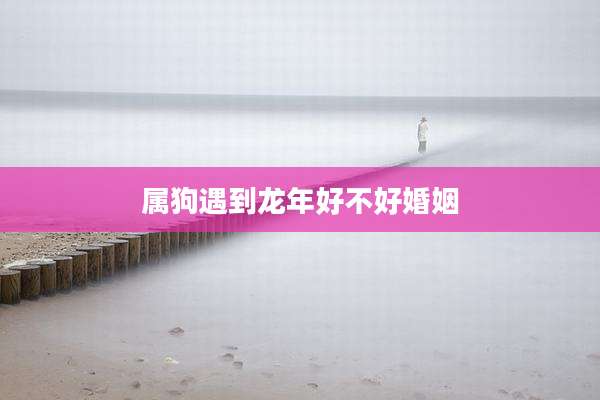 属狗遇到龙年好不好婚姻