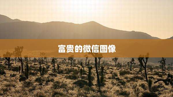 富贵的微信图像