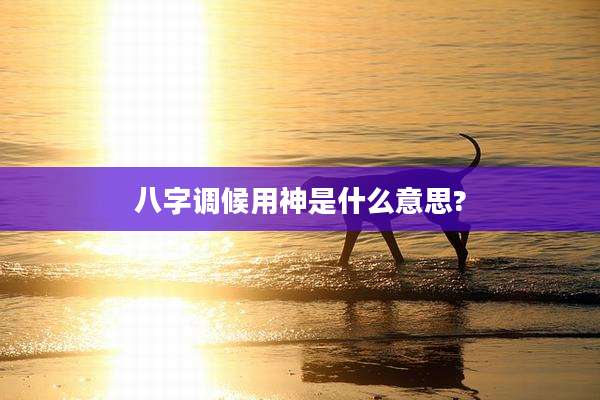 八字调候用神是什么意思?
