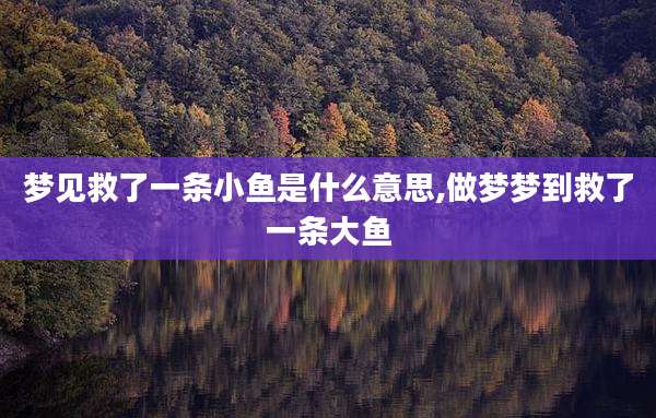 梦见救了一条小鱼是什么意思,做梦梦到救了一条大鱼