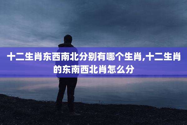 十二生肖东西南北分别有哪个生肖,十二生肖的东南西北肖怎么分