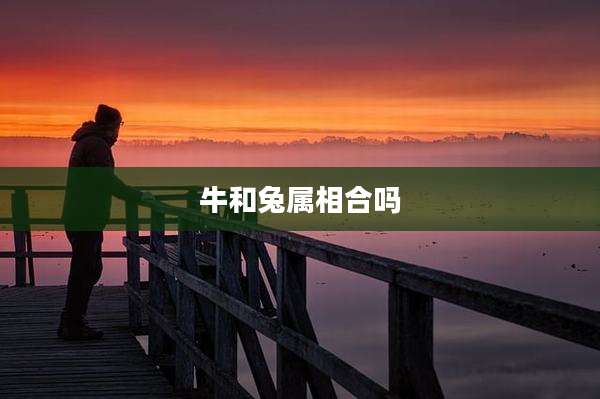 牛和兔属相合吗