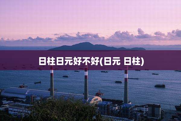 日柱日元好不好(日元 日柱)