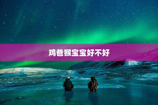 鸡爸猴宝宝好不好