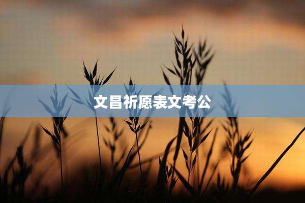 文昌祈愿表文考公
