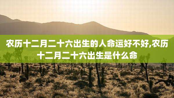 农历十二月二十六出生的人命运好不好,农历十二月二十六出生是什么命
