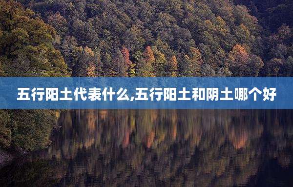 五行阳土代表什么,五行阳土和阴土哪个好