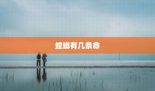 螳螂有几条命