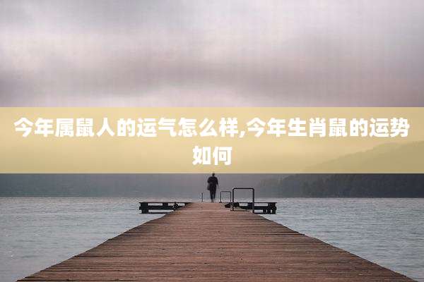今年属鼠人的运气怎么样,今年生肖鼠的运势如何
