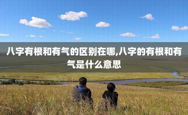 八字有根和有气的区别在哪,八字的有根和有气是什么意思