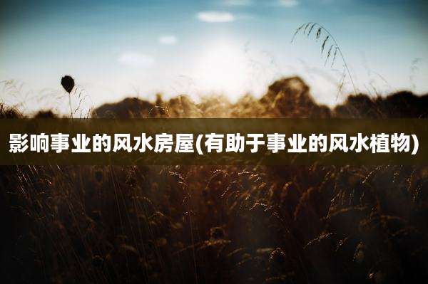 影响事业的风水房屋(有助于事业的风水植物)