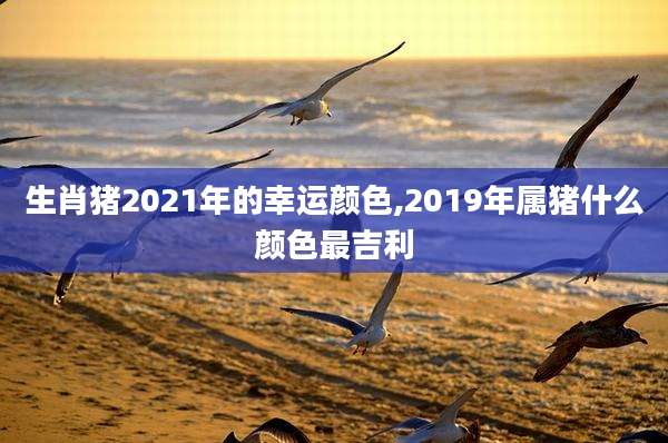 生肖猪2021年的幸运颜色,2019年属猪什么颜色最吉利