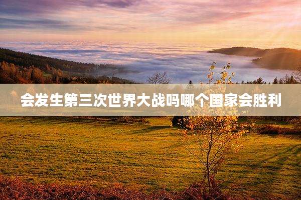 会发生第三次世界大战吗哪个国家会胜利